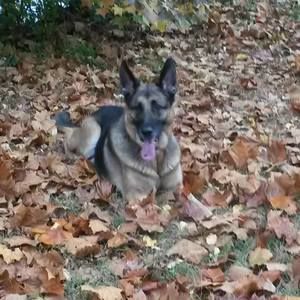 Meet your Posher, Lori